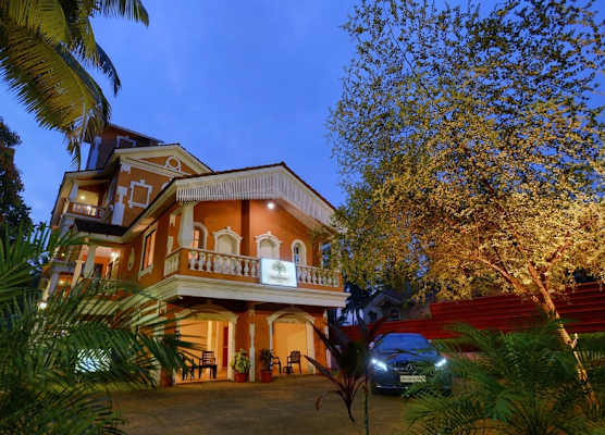 TreeHouse Nova 1