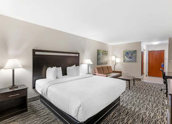 Best Western Plus McDonough Inn & Suites 1