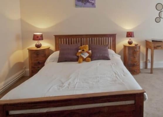 The Dolphin Hotel 1