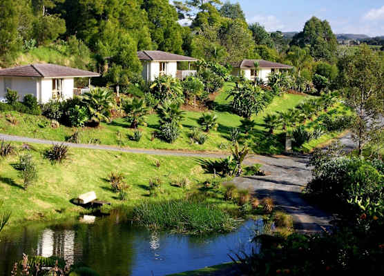 Avalon Resort 1