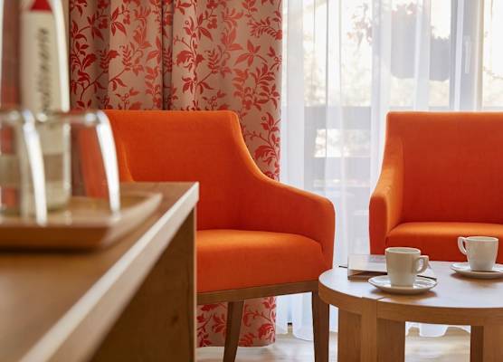 Goethe Schwarzwald Boutiquehotel 1