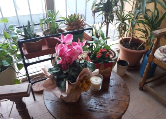 "LA MAISON DEL CORSO" Hospitality 1