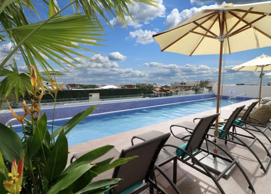 Holiday Inn Express & Suites PLAYA DEL CARMEN by IHG 1