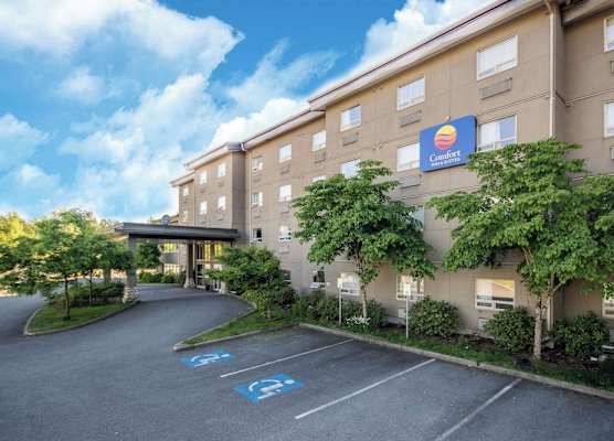 Comfort Inn & Suites 1