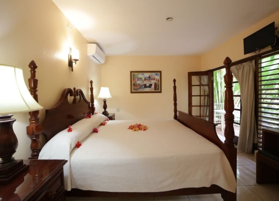 Negril Palms 1