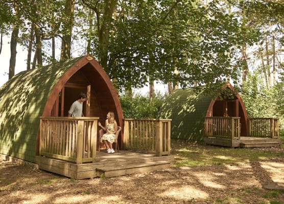Pinewood Camping Pods - At Port Lympne Reserve 1