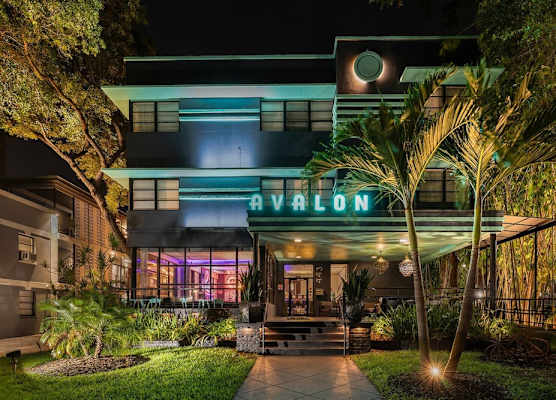Avalon Hotel Downtown St. Petersburg 1