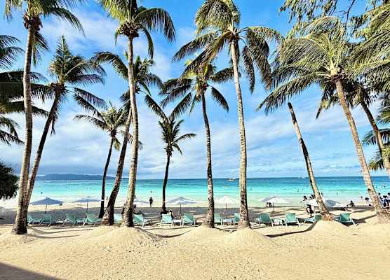 Calypso Beach and Dive Resort 1