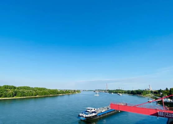 Hotel am Rhein 1