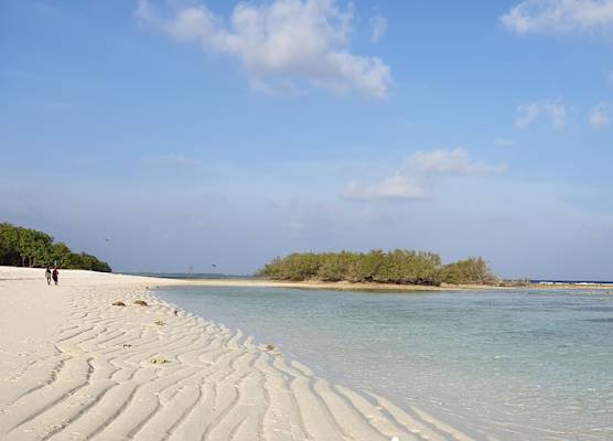 Dhigurah Tourist Hotel 1