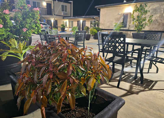 Portofino Inn Burbank 1