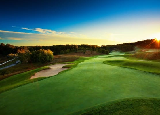 Treetops Resort 1