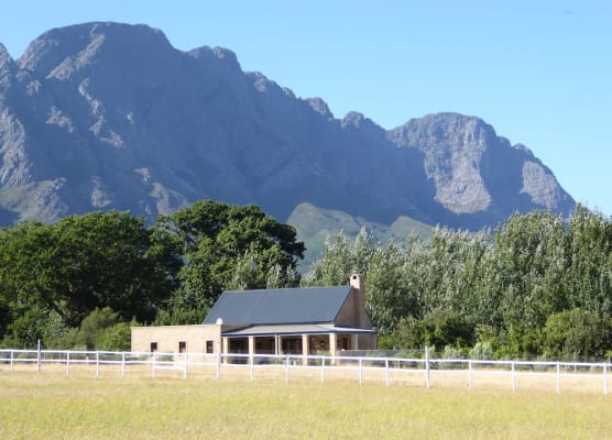 Saddlebrook Cottage 1
