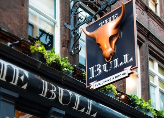 The Bull and The Hide 1