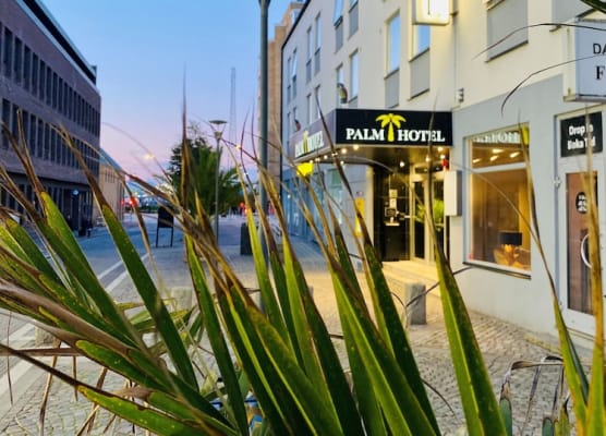 Palm Tree Hotel, Best Western Signature Collection 1