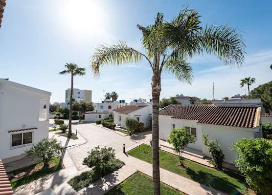 Fig Tree Z Holiday Resort 1