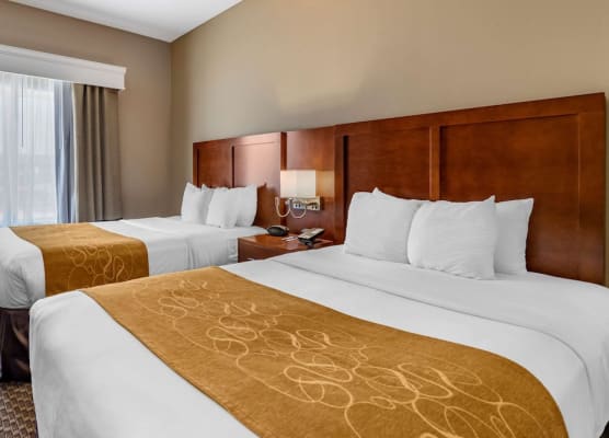 Comfort Suites Near Texas A&M - Corpus Christi 1