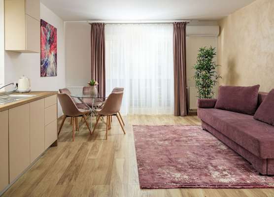 Brasov Holiday Apartments 1