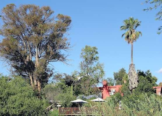 Gumtree Guest House 1