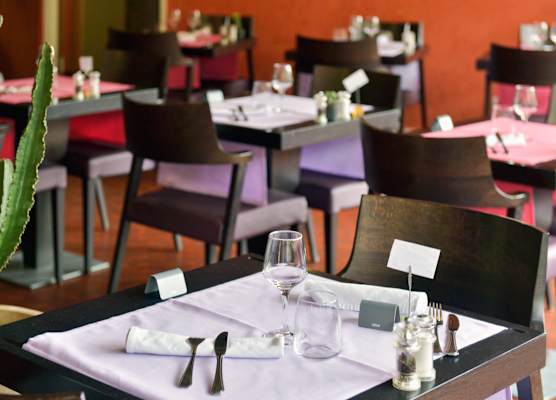 Contact Hotel Le Moulin Neuf Chantonnay 1
