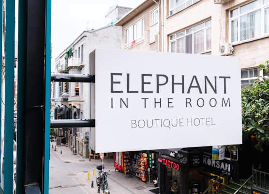 Elephant In The Room 1