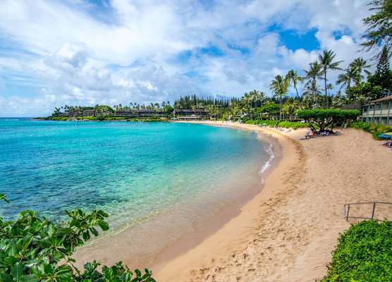 Napili Shores Maui by OUTRIGGER - No Resort & Housekeeping Fees 1