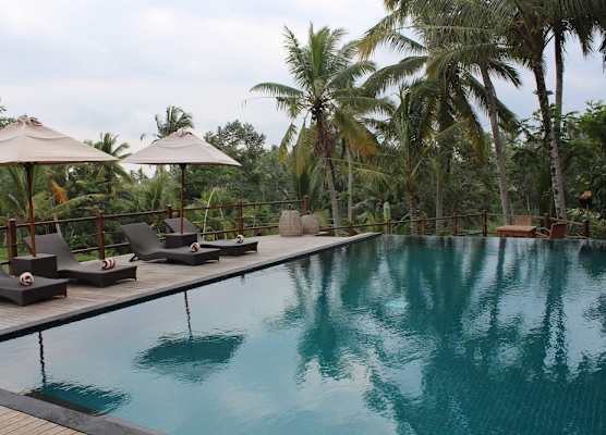 Manyi Village Ubud 1