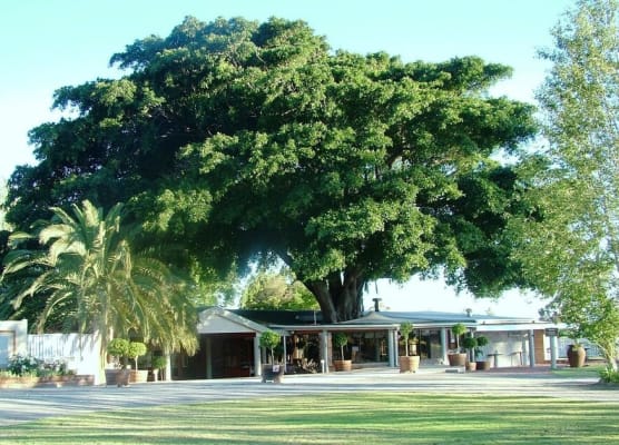 Damas Guest Farm 1