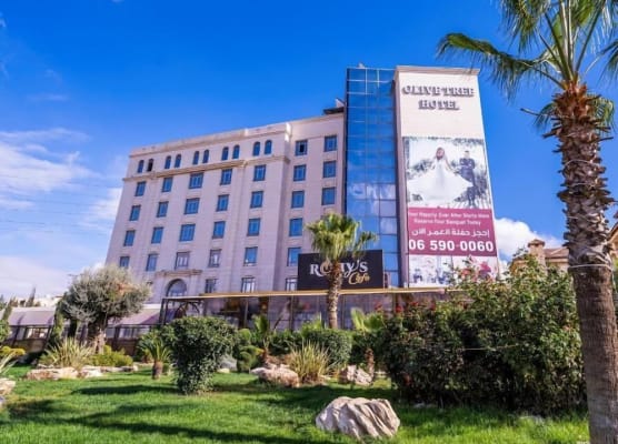 Olive Tree Amman 1