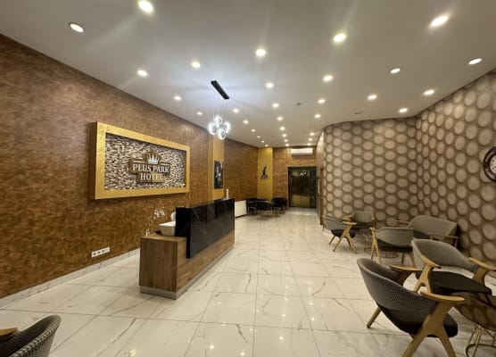 Plus Park Suite & Hotel 1