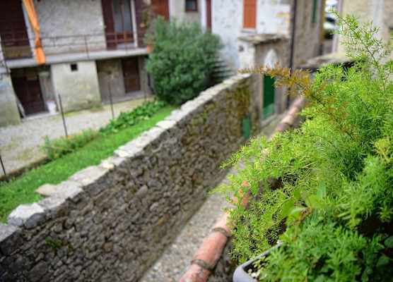 Casa Anna Relax Apartment 1