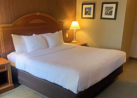 Hampton Inn Chelsea, Mi 1