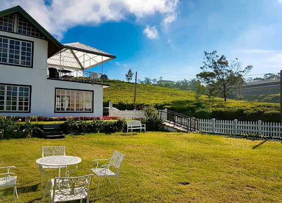 The Tea Garden 1