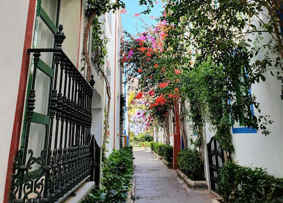 La Venecia de Canarias 1