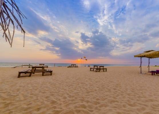 Jungle Beach Ahungalla 1