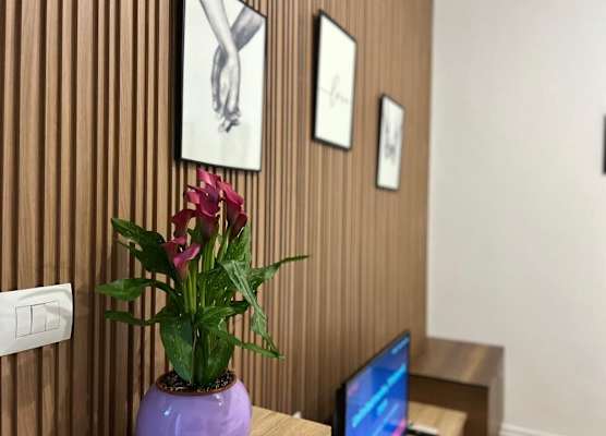 Tirana Budget Retreat Hotel 1