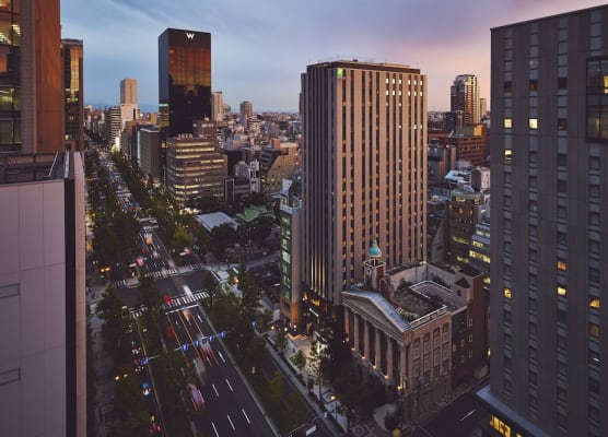Holiday Inn Express OSAKA CITY CENTRE - MIDOSUJI by IHG 1