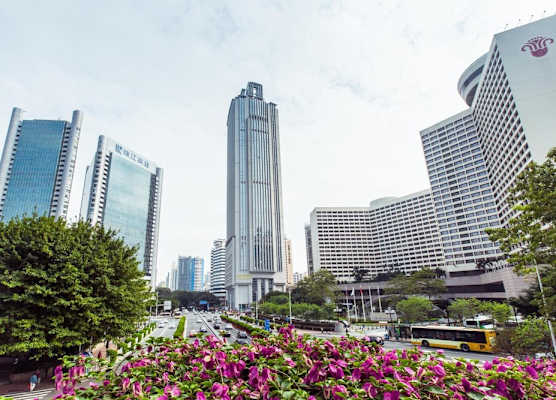 YOYO International Apartment 1