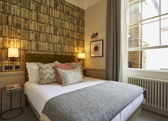 Room Mate Lime Tree 1