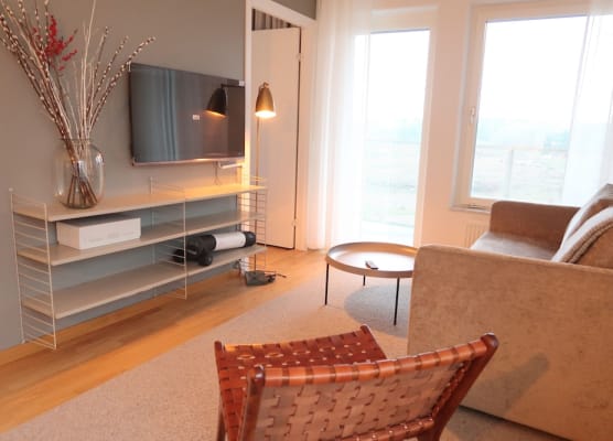 Luxury Business 2 Rooms Apartment up to 3 People By City Living 1