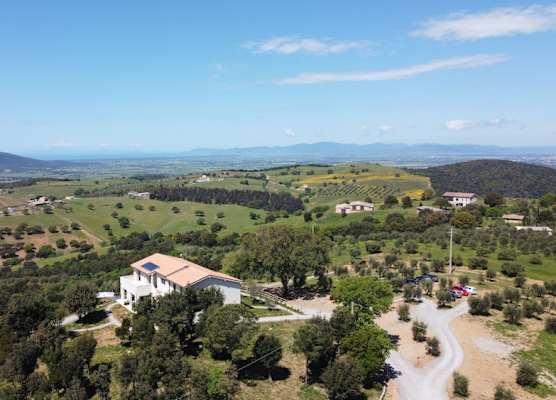 Casale Oleo 1