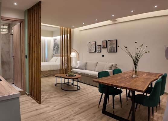 Euphoria Apartments Monastiraki 1