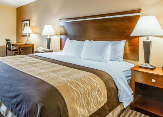 Quality Inn & Suites Mount Pleasant 1