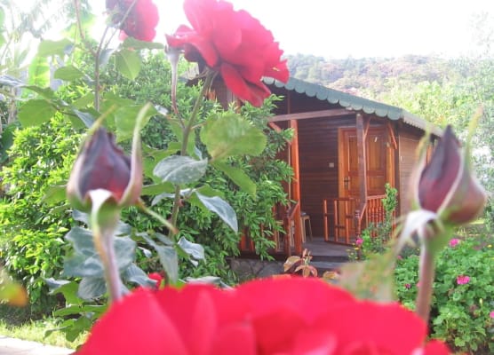 Ugur Pansiyon Bungalows 1