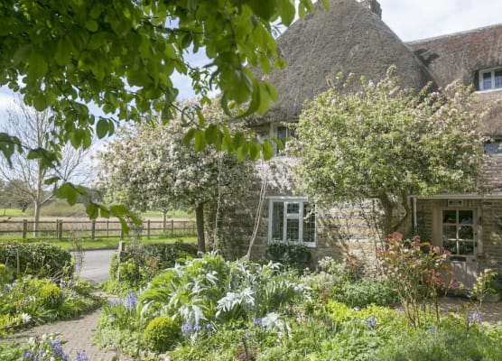 Tudor Cottage B&B Frampton 1