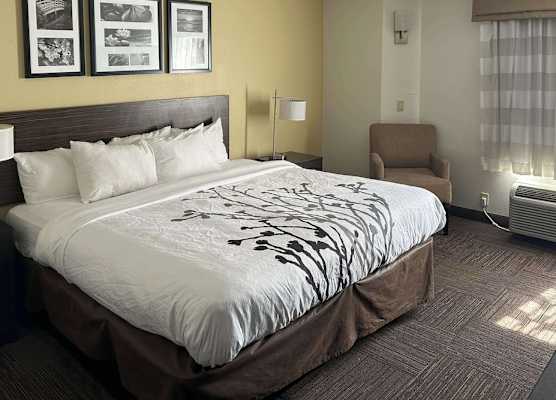 Sleep Inn Wilson near I-95 1