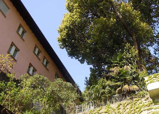 Swiss Lodge Nassa Garni 1