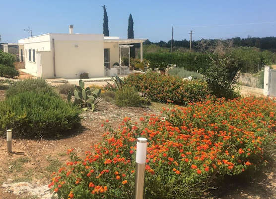 Villa Carola 1