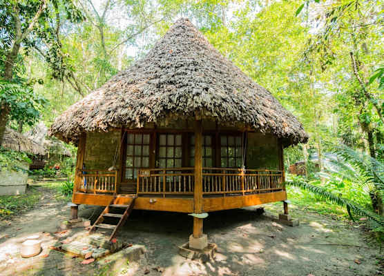 The Barefoot At Havelock 1