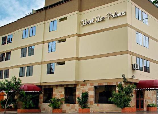 Hotel Las Palmas 1